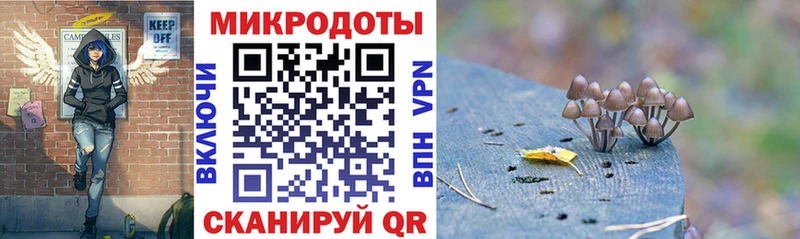 Галлюциногенные грибы Psilocybine cubensis  Купить  Шахты 